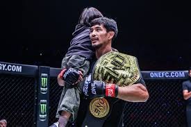 新鹏城队将于11月14日举办球迷开放日活动，今天14点开启报名